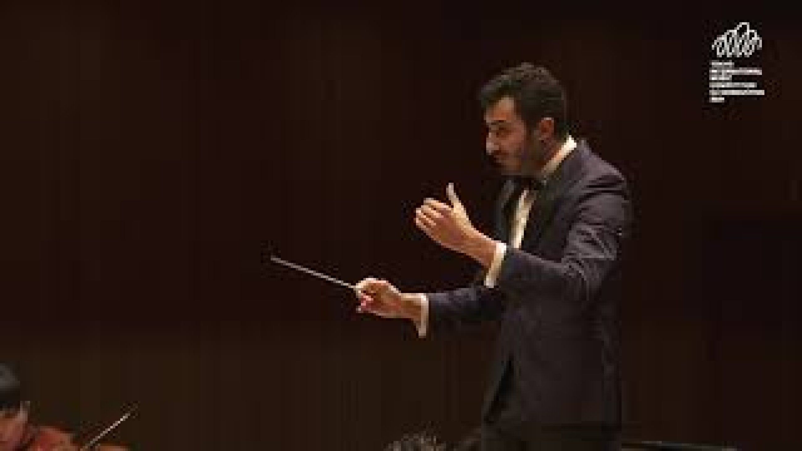 Samy Rachid | HarrisonParrott
