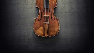 Stock Photo Violin Josep_Molina-123