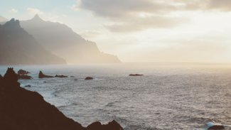 ©pexels Luis Quintero 