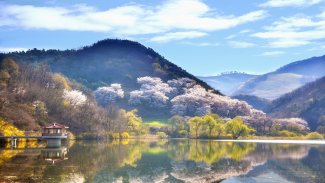 Korea landscape