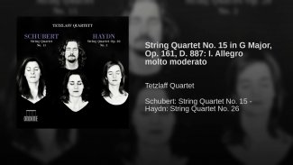 String Quartet No. 15 in G Major, Op. 161, D. 887: I. Allegro molto moderato Thumbnail