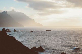 ©pexels Luis Quintero