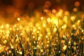 ©pixabay