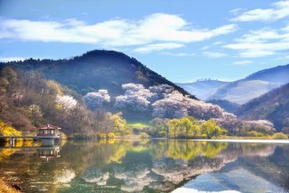 Korea landscape