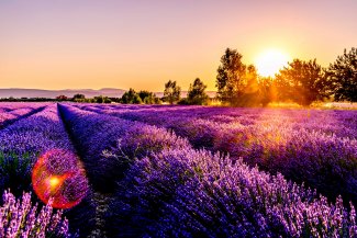 Provence france