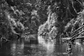 Amazonia Project © Sebastião Salgado