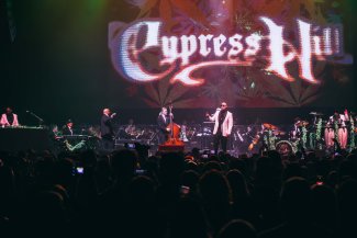 Cypress hill