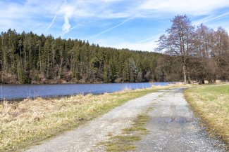 blaibach
