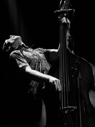 Avishai Cohen - PolyArts Artist