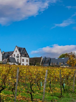Rheingau