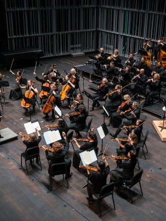 20240613_SOV_Beethoven8_Brugge_Bjorn Comhaire_100_of_102[33].jpg