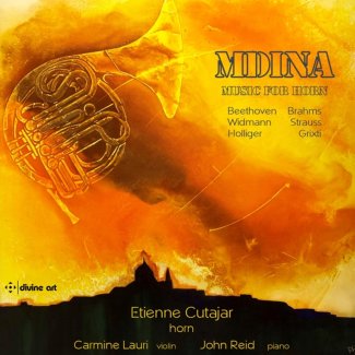 Mdina Album Cover Widmann