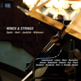 Wind and Strings Widmann Album Cover